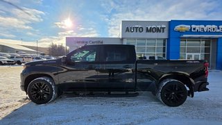 2023 Chevrolet Silverado 1500 in Mont-Laurier, Quebec - 14 - w320h240px