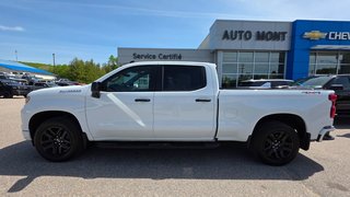 2024 Chevrolet Silverado 1500 in Mont-Laurier, Quebec - 14 - w320h240px