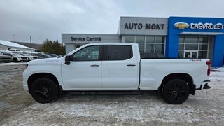 2024 Chevrolet Silverado 1500 in Mont-Laurier, Quebec - 14 - w320h240px