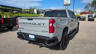2024 Chevrolet Silverado 1500 in Mont-Laurier, Quebec - 6 - w320h240px