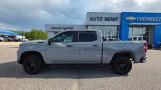 2024 Chevrolet Silverado 1500 in Mont-Laurier, Quebec - 14 - w320h240px