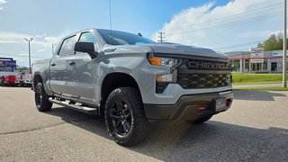 2024 Chevrolet Silverado 1500 in Mont-Laurier, Quebec - 3 - w320h240px