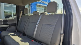 Ford F-150  2020 à Mont-Laurier, Québec - 19 - w320h240px