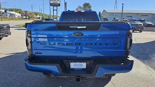 Ford F-250  2020 à Mont-Laurier, Québec - 7 - w320h240px