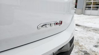 2024 GMC Terrain in Mont-Laurier, Quebec - 9 - w320h240px