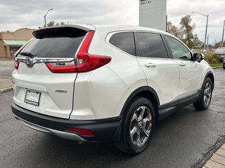 2019 Honda CR-V EX-L in Niagara Falls, Ontario - 5 - w320h240px