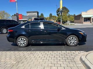 2024 Toyota Corolla Hybrid LE in Niagara Falls, Ontario - 6 - w320h240px