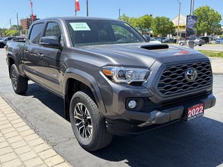 2022 Toyota Tacoma 4WD DBL AT in Niagara Falls, Ontario - 6 - w320h240px