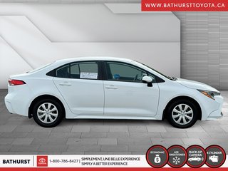 2021 Toyota Corolla LE in Bathurst, New Brunswick - 6 - w320h240px
