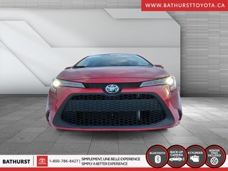 2021 Toyota Corolla LE in Bathurst, New Brunswick - 2 - w320h240px