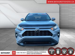 Toyota RAV4 XLE 2020 à Bathurst, Nouveau-Brunswick - 2 - w320h240px