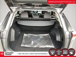 2020 Toyota RAV4 XLE in Bathurst, New Brunswick - 6 - w320h240px