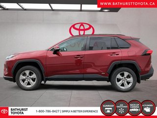 Toyota RAV4 Hybrid XLE 2022 à Bathurst, Nouveau-Brunswick - 5 - w320h240px