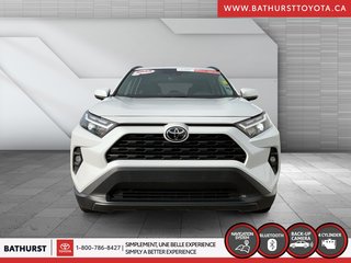 2025 Toyota RAV4 XLE in Bathurst, New Brunswick - 2 - w320h240px