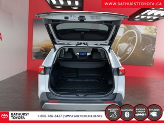 Toyota RAV4 Hybrid Limited 2025 à Bathurst, Nouveau-Brunswick - 6 - w320h240px