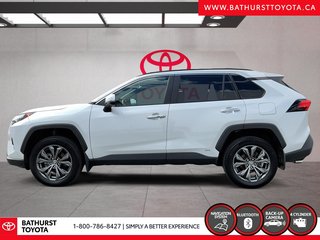 Toyota RAV4 Hybrid Limited 2025 à Bathurst, Nouveau-Brunswick - 5 - w320h240px