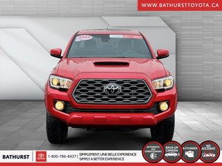 2023  Tacoma BASE in Bathurst, New Brunswick - 2 - w320h240px