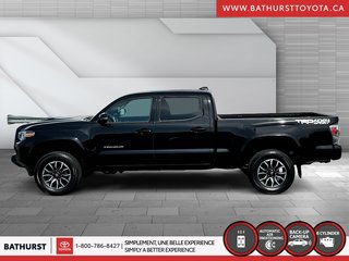 2023 Toyota Tacoma BASE in Bathurst, New Brunswick - 5 - w320h240px
