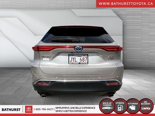 2021  Venza XLE in Bathurst, New Brunswick - 3 - w320h240px