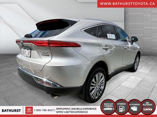 2021  Venza XLE in Bathurst, New Brunswick - 5 - w320h240px