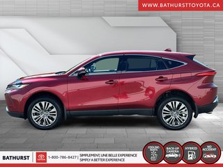 2023 Toyota Venza Limited in Bathurst, New Brunswick - 5 - w320h240px