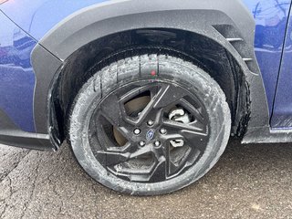 2025 Subaru Crosstrek in Pickering, Ontario - 29 - w320h240px