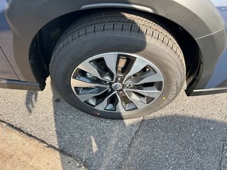 2025 Subaru Outback in Pickering, Ontario - 10 - w320h240px