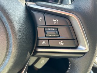 2025 Subaru Outback in Pickering, Ontario - 25 - w320h240px