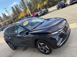 2022 Hyundai Tucson Plug-In Hybrid Luxury