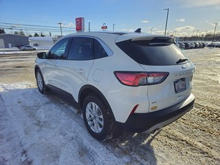 2020  Escape SE - AWD in Bathurst, New Brunswick - 5 - w320h240px