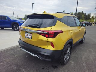 2023  Seltos LX AWD in Bathurst, New Brunswick - 3 - w320h240px