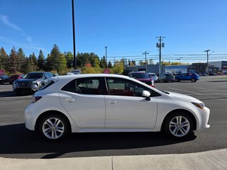 Toyota Corolla Hatchback 6M 2019 à Bathurst, Nouveau-Brunswick - 4 - w320h240px