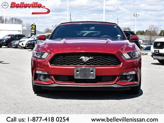 2017 Ford Mustang in Belleville, Ontario - 2 - w320h240px