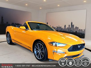 Ford Mustang CONVERTIBLE MANUELLE 6 VITESSES ECOBOOST 2.3 LITRE 2019 à Saint-Jérôme, Québec - 3 - w320h240px