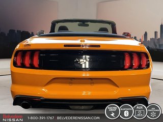 Ford Mustang CONVERTIBLE MANUELLE 6 VITESSES ECOBOOST 2.3 LITRE 2019 à Saint-Jérôme, Québec - 4 - w320h240px