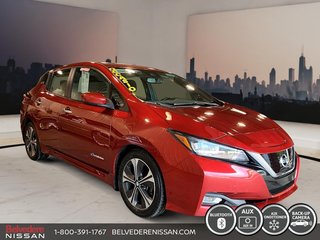 2018  Leaf SV 40KW 250 KM NAVIGATION MAGS CAMERA in Saint-Jérôme, Quebec - 3 - w320h240px