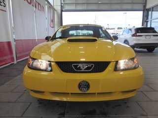 2004  Mustang in Saint-Georges, Quebec - 3 - w320h240px