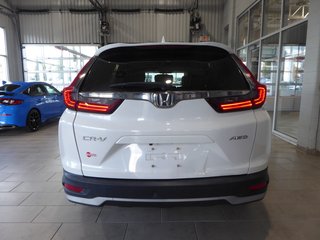 Honda CR-V LX AWD 2020 à Saint-Georges, Québec - 3 - w320h240px