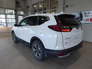 Honda CR-V LX AWD 2020 à Saint-Georges, Québec - 4 - w320h240px