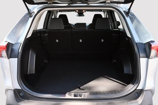2020 Toyota RAV4 LE + CAMERA + BLUETOOTH + APPLE CARPLAY