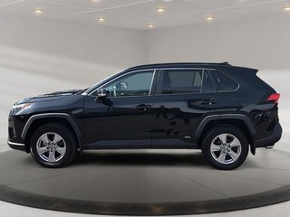 2023 Toyota RAV4 Hybrid XLE + TOIT OUVRANT + CARPLAY + CAMERA + WOW