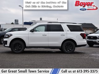 2023 Ford Expedition in Pickering, Ontario - 5 - w320h240px