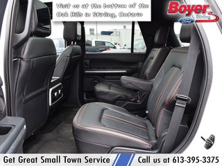 2023 Ford Expedition in Pickering, Ontario - 20 - w320h240px