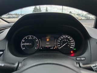 2021 Acura RDX in Pickering, Ontario - 17 - w320h240px