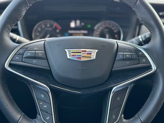 2024 Cadillac XT5 in Pickering, Ontario - 12 - w320h240px