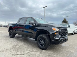 2023 Chevrolet Silverado 1500 in Pickering, Ontario - 7 - w320h240px