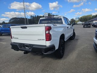 2024 Chevrolet Silverado 1500 in Pickering, Ontario - 4 - w320h240px