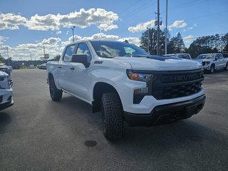 2024 Chevrolet Silverado 1500 in Pickering, Ontario - 3 - w320h240px