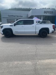 2024 GMC Sierra 1500 in Pickering, Ontario - 13 - w320h240px