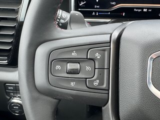 2025 GMC Sierra 1500 in Pickering, Ontario - 20 - w320h240px